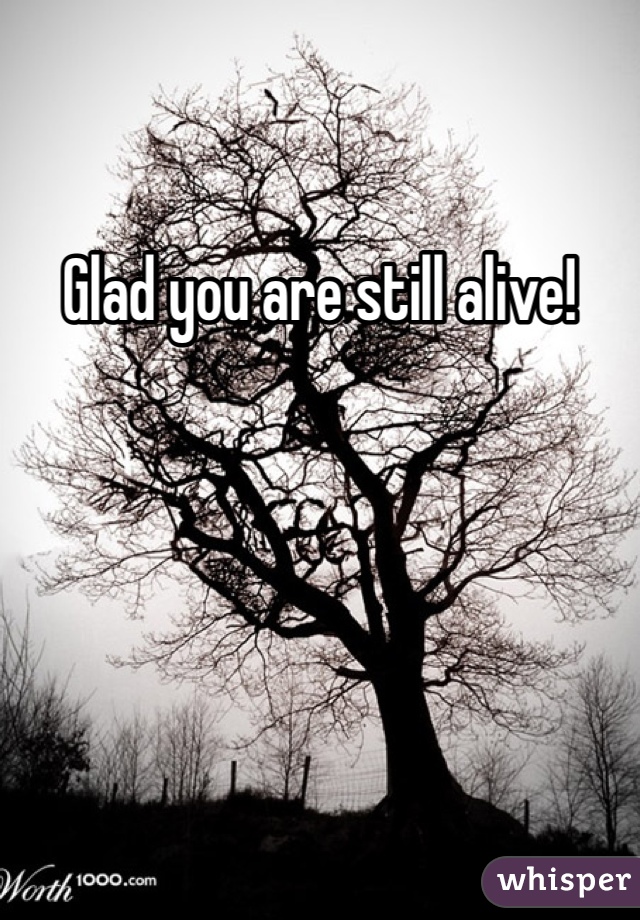 Glad you are still alive!  