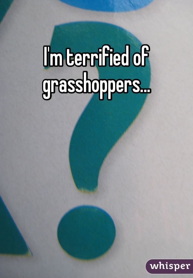 I'm terrified of grasshoppers...