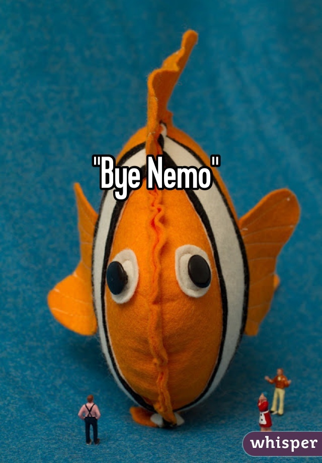 "Bye Nemo"