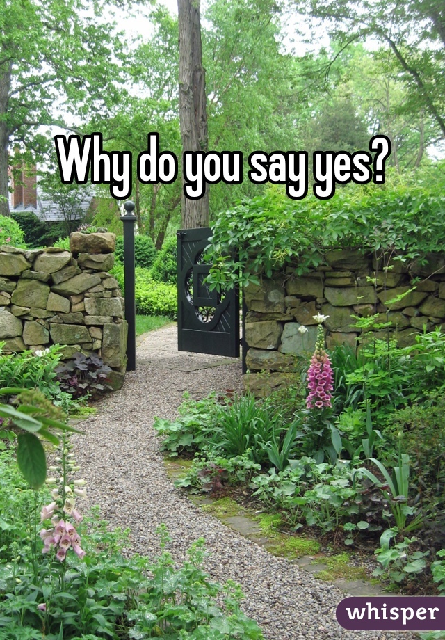 Why do you say yes?