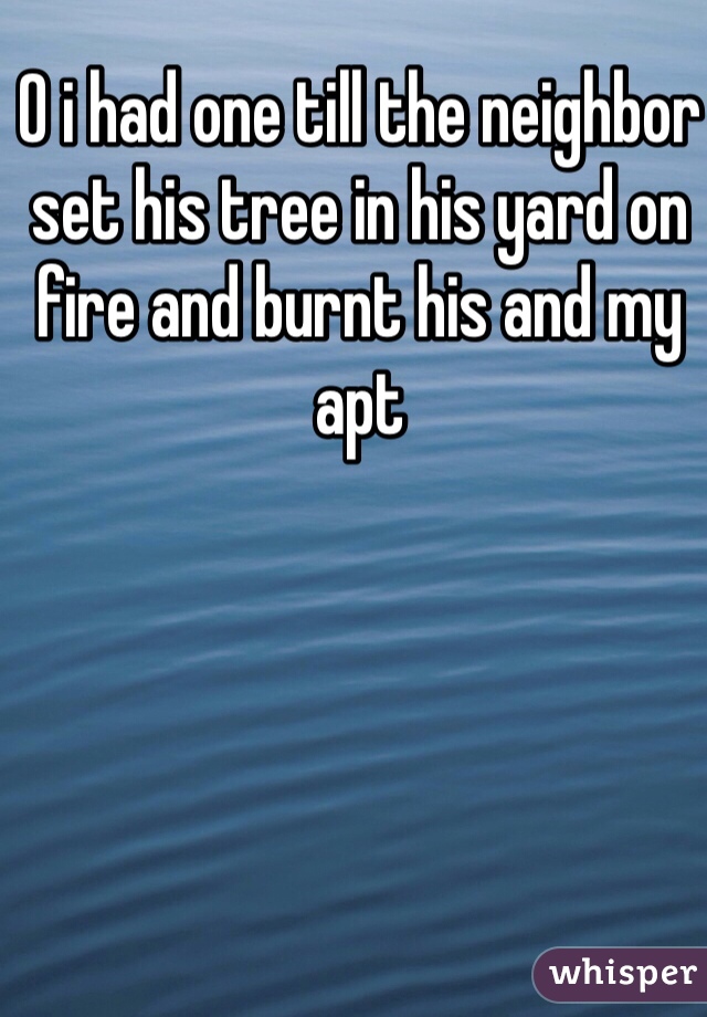 O i had one till the neighbor set his tree in his yard on fire and burnt his and my apt 