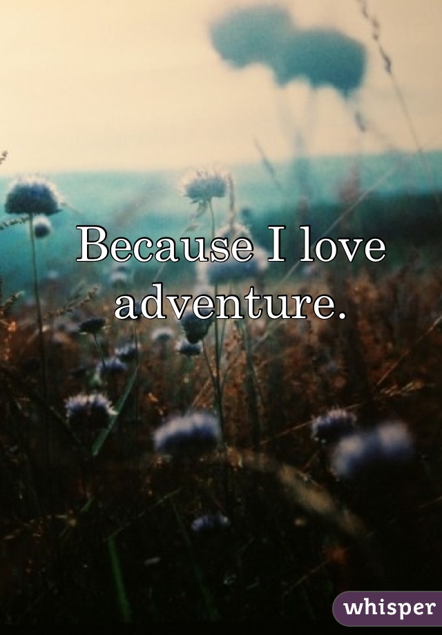 Because I love adventure.