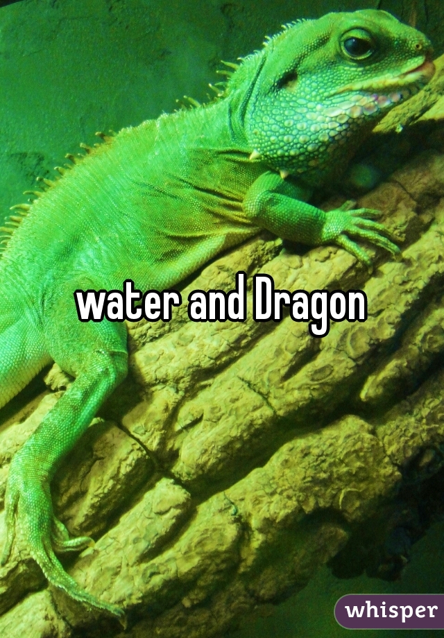 water and Dragon