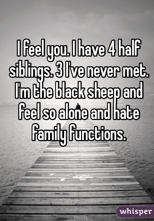 I feel you. I have 4 half siblings. 3 I've never met. I'm the black sheep and feel so alone and hate family functions. 