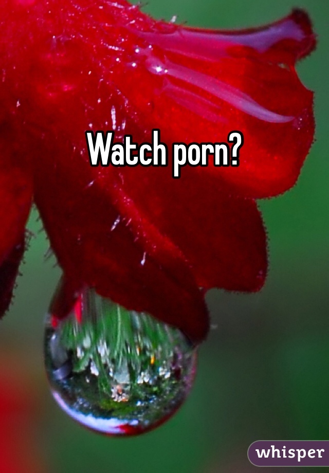 Watch porn? 