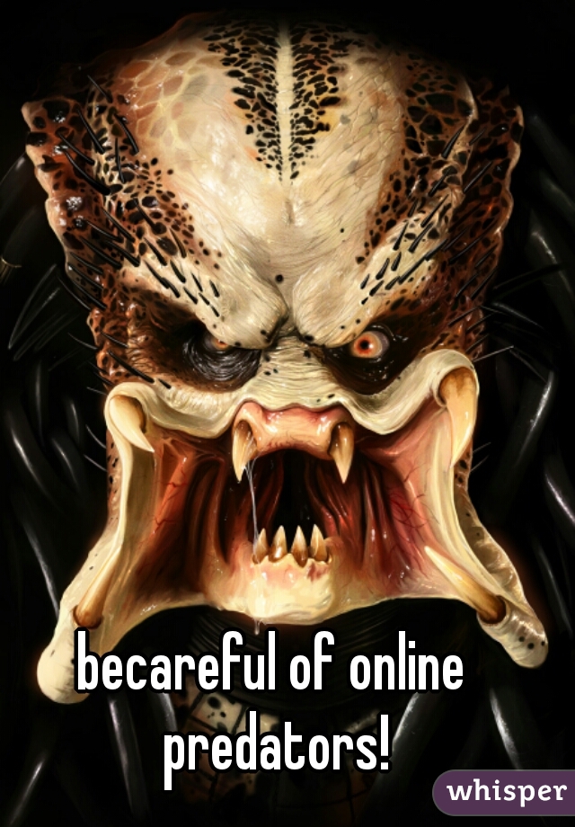 becareful of online predators!