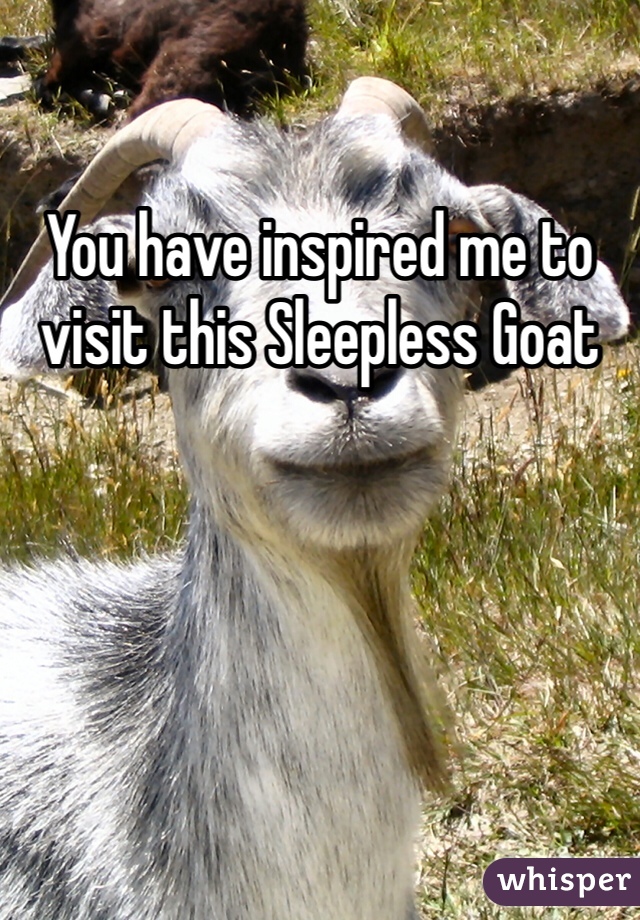 You have inspired me to visit this Sleepless Goat 