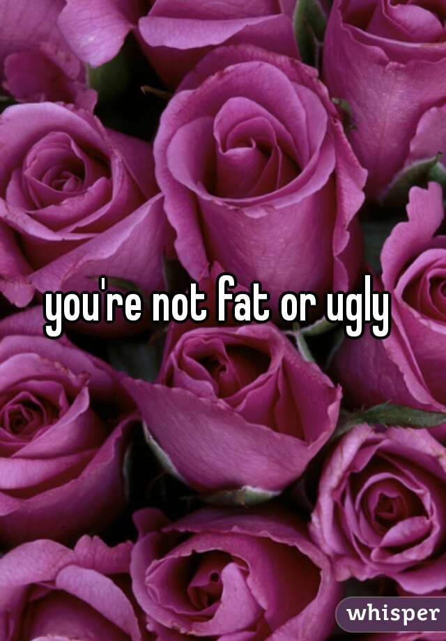 you're not fat or ugly 