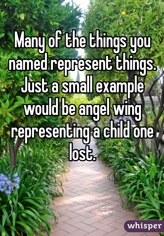 Many of the things you named represent things. Just a small example would be angel wing representing a child one lost. 