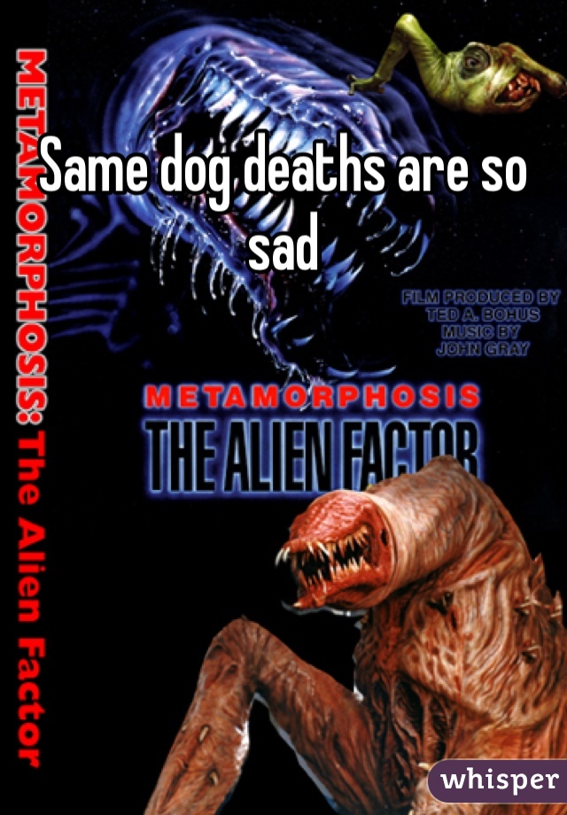 Same dog deaths are so sad