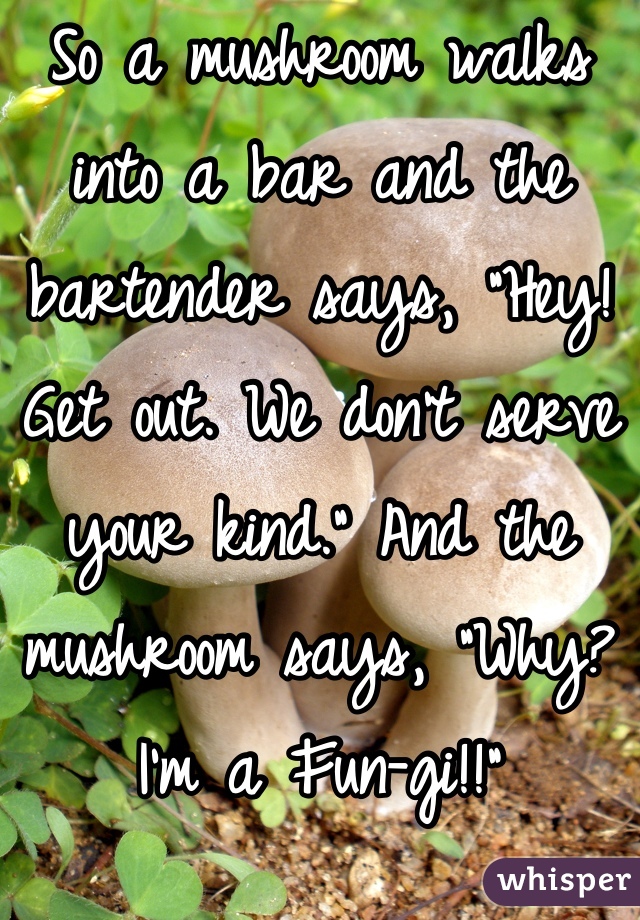 So a mushroom walks into a bar and the bartender says, "Hey! Get out. We don't serve your kind." And the mushroom says, "Why? I'm a Fun-gi!!"