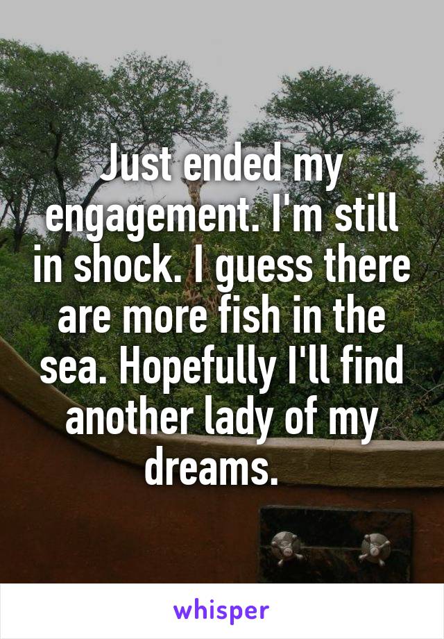 Just ended my engagement. I'm still in shock. I guess there are more fish in the sea. Hopefully I'll find another lady of my dreams.  