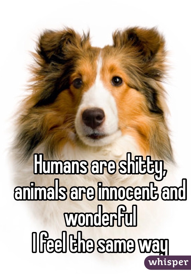 Humans are shitty, animals are innocent and wonderful
I feel the same way