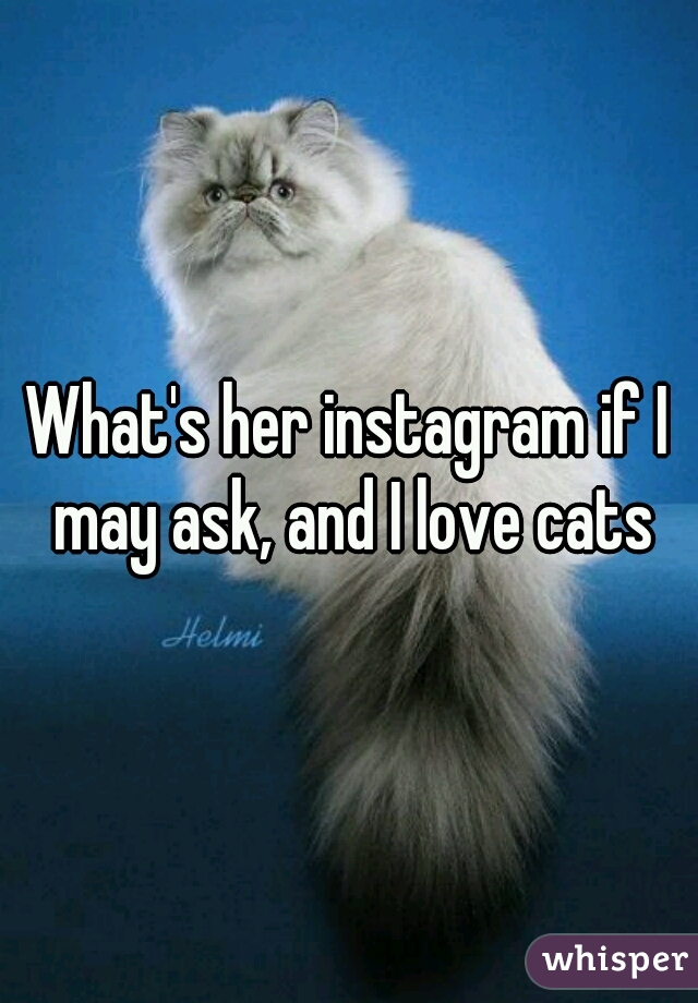 What's her instagram if I may ask, and I love cats
