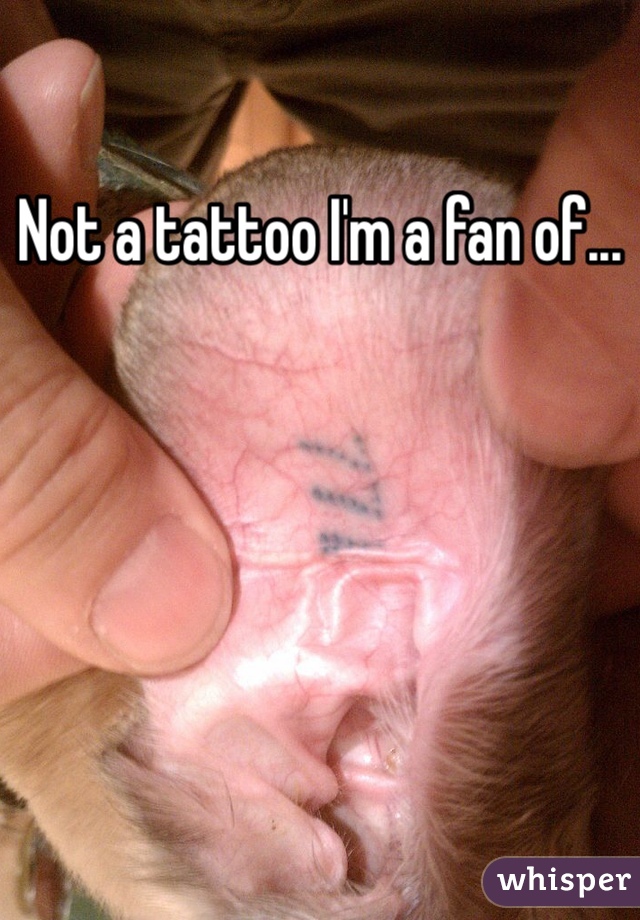 Not a tattoo I'm a fan of...