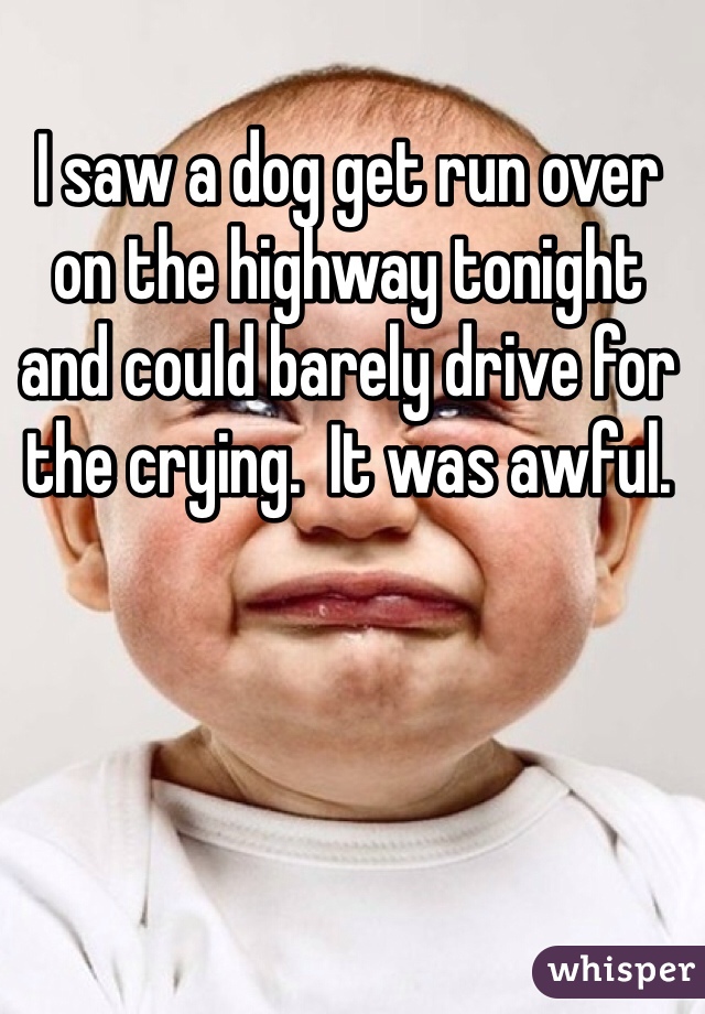 I saw a dog get run over on the highway tonight and could barely drive for the crying.  It was awful.