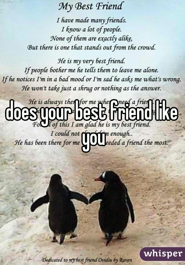 does your best friend like you