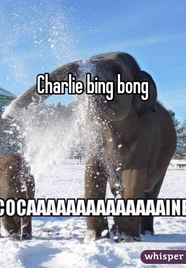 Charlie bing bong 

