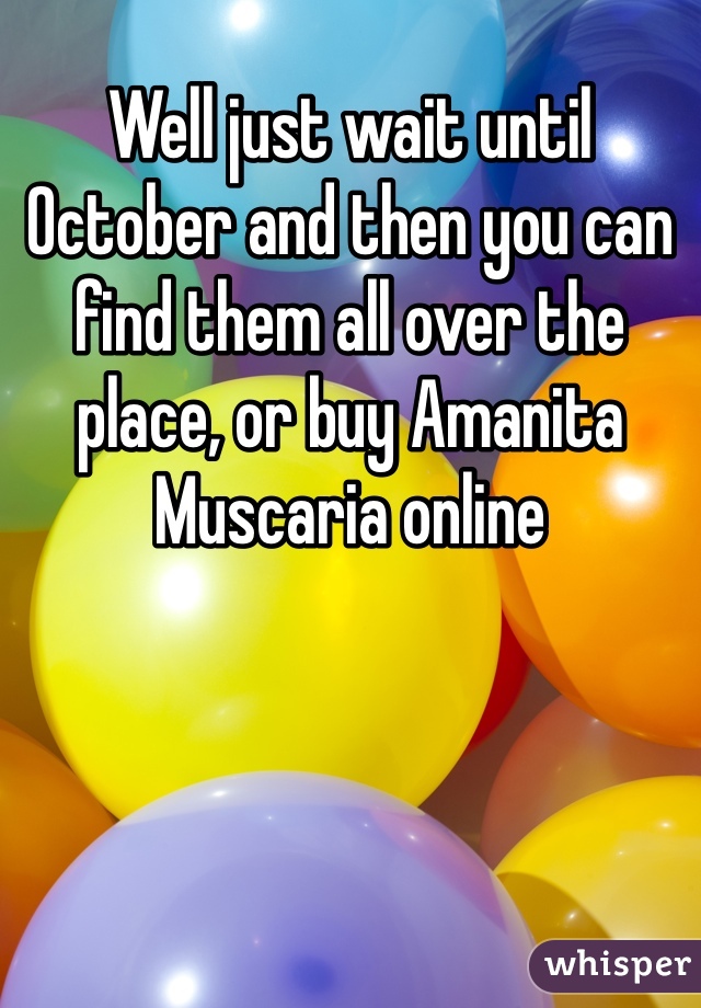 Well just wait until October and then you can find them all over the place, or buy Amanita Muscaria online