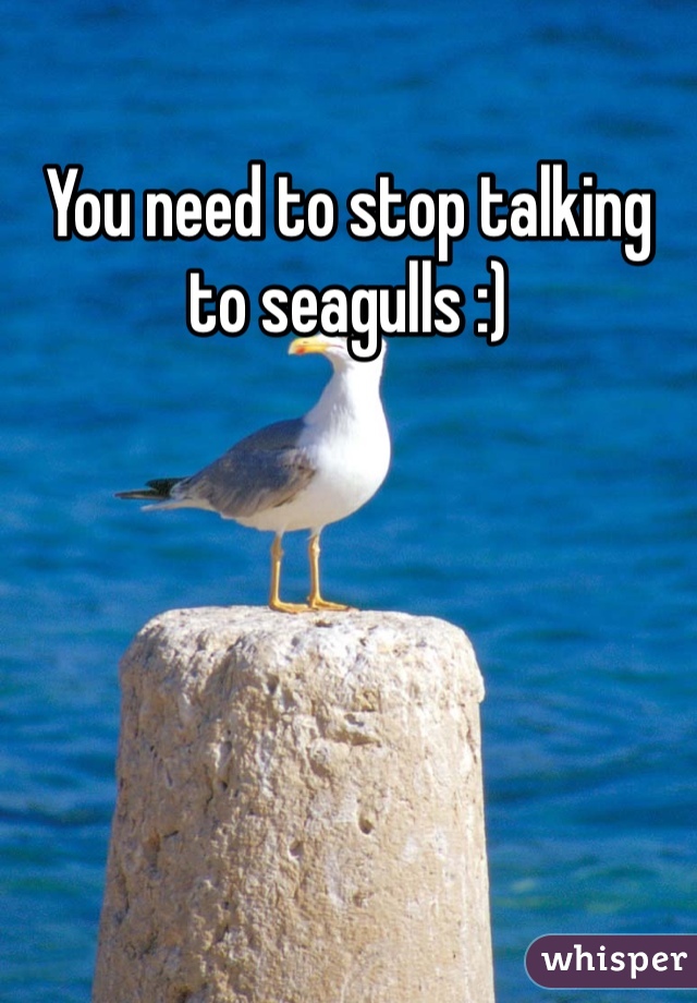 You need to stop talking to seagulls :)