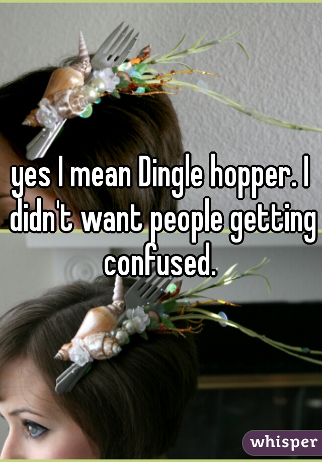 yes I mean Dingle hopper. I didn't want people getting confused. 