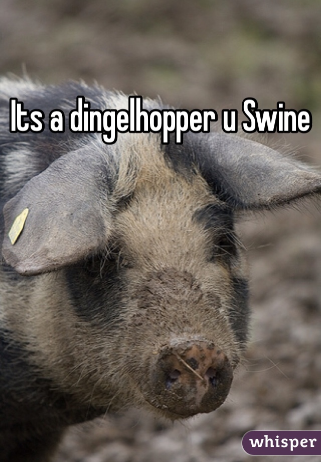 Its a dingelhopper u Swine