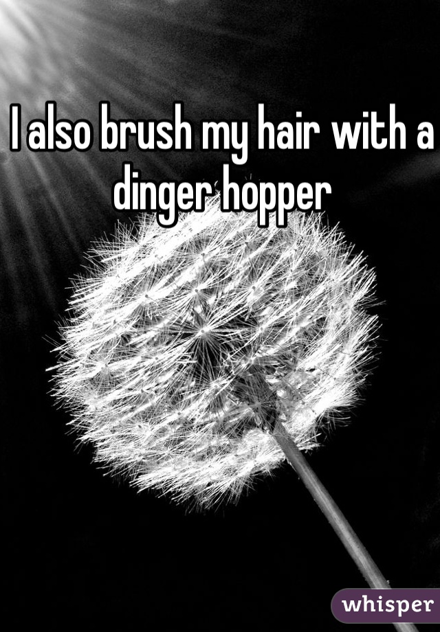 I also brush my hair with a dinger hopper 