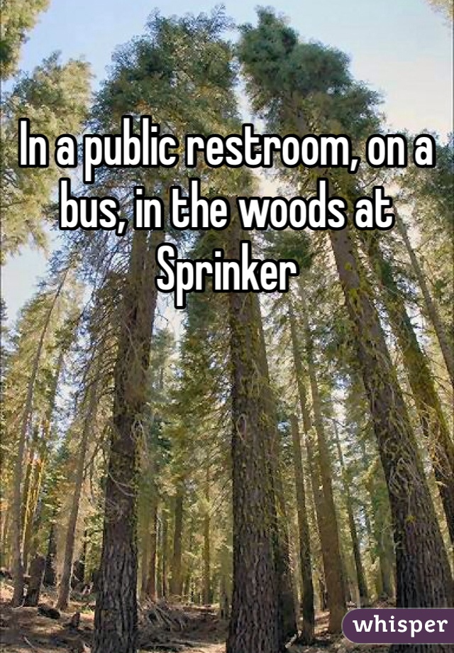 In a public restroom, on a bus, in the woods at Sprinker