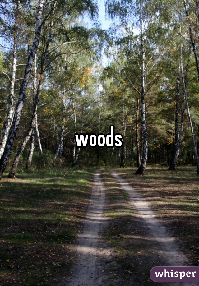 woods