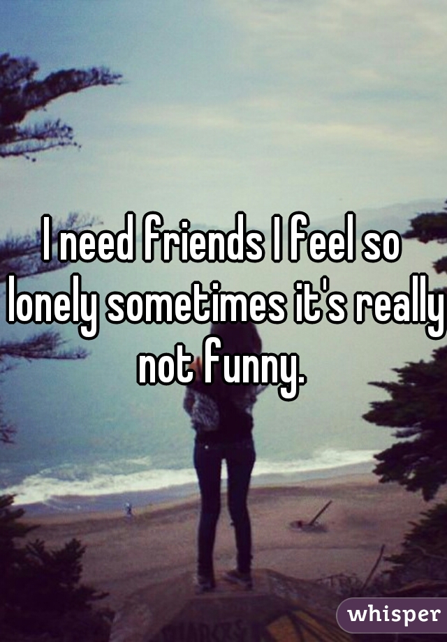 I need friends I feel so lonely sometimes it's really not funny. 