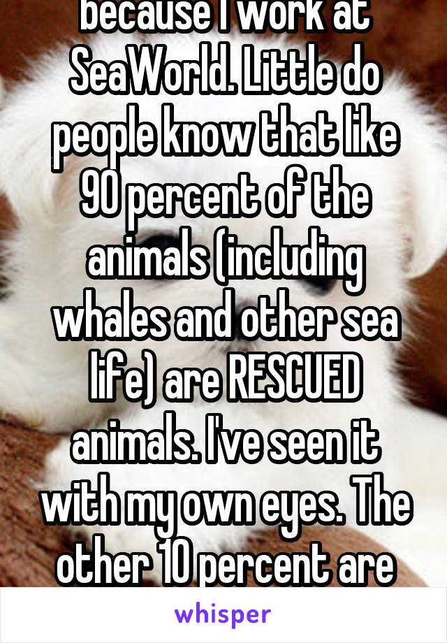 I always get crap because I work at SeaWorld. Little do people know that like 90 percent of the animals (including whales and other sea life) are RESCUED animals. I've seen it with my own eyes. The other 10 percent are from zoos or abusive owners