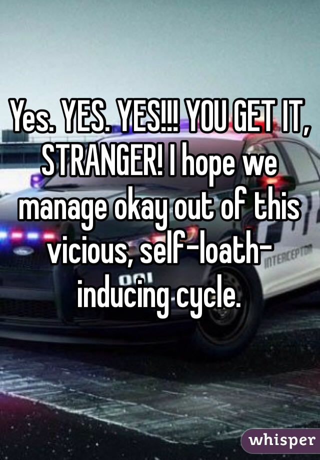 Yes. YES. YES!!! YOU GET IT, STRANGER! I hope we manage okay out of this vicious, self-loath-inducing cycle.
