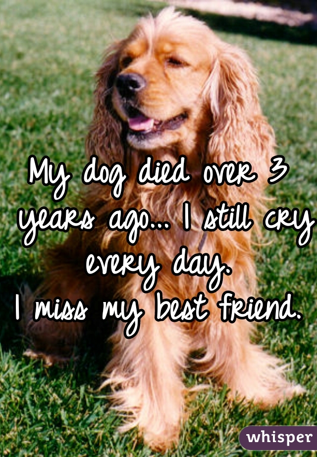 My dog died over 3 years ago... I still cry every day. 

I miss my best friend.