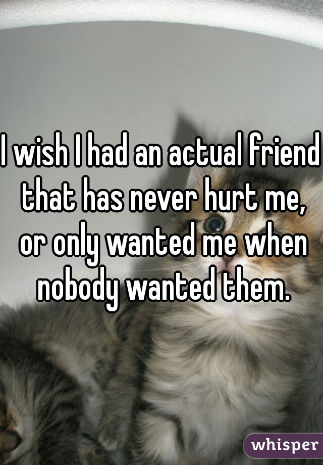 I wish I had an actual friend that has never hurt me, or only wanted me when nobody wanted them.