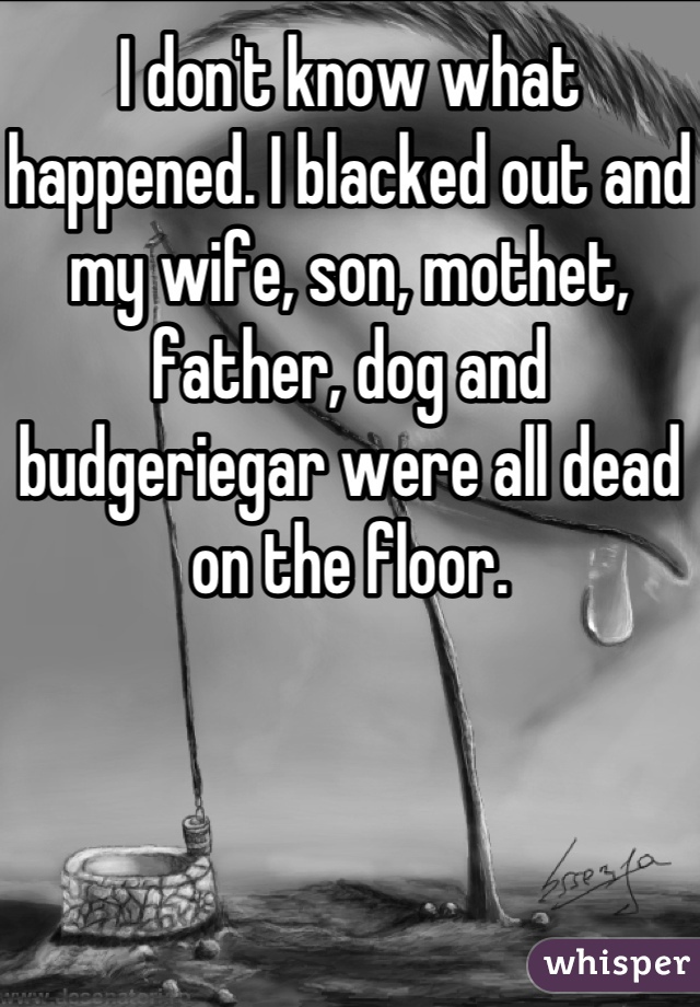 I don't know what happened. I blacked out and my wife, son, mothet, father, dog and budgeriegar were all dead on the floor.