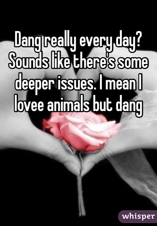 Dang really every day? Sounds like there's some deeper issues. I mean I lovee animals but dang 