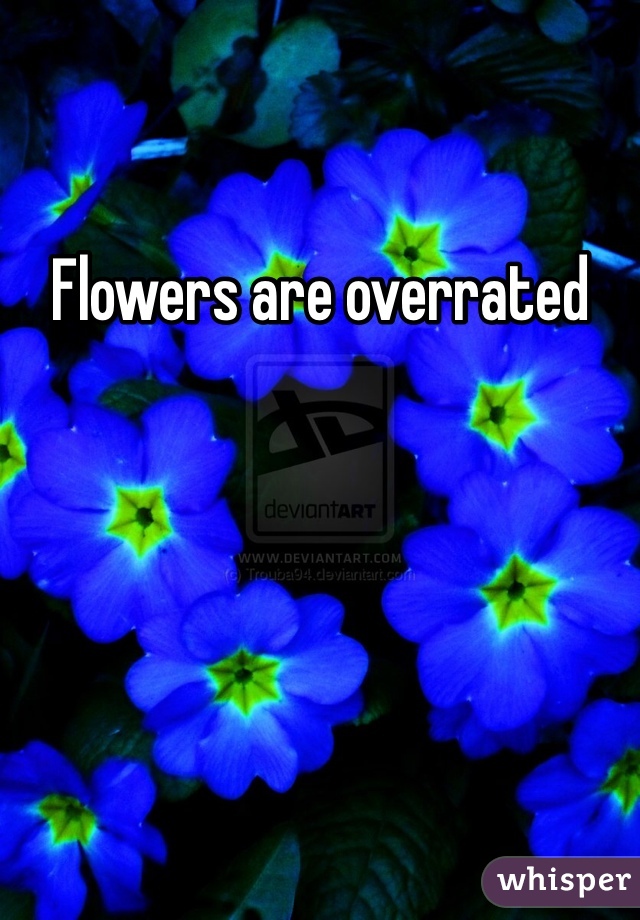 Flowers are overrated