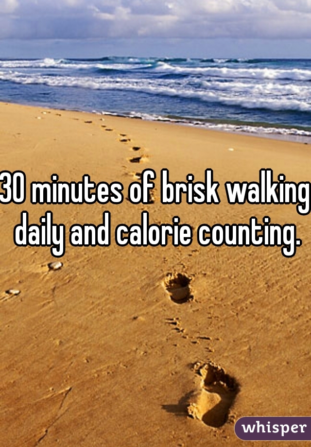 30 minutes of brisk walking daily and calorie counting.