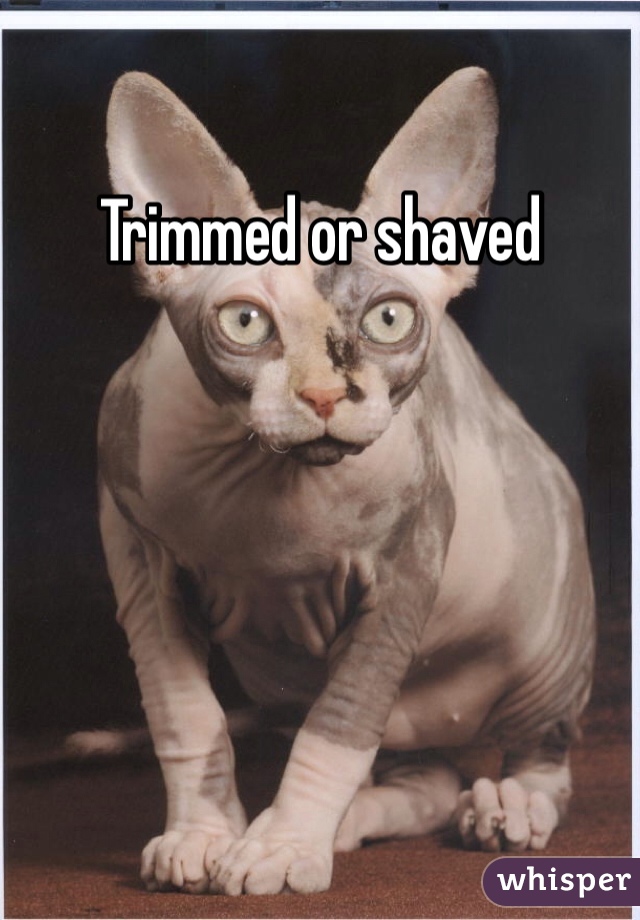 Trimmed or shaved