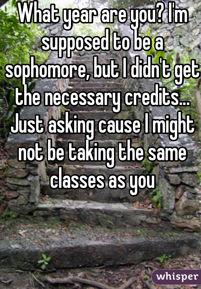 What year are you? I'm supposed to be a sophomore, but I didn't get the necessary credits... Just asking cause I might not be taking the same classes as you