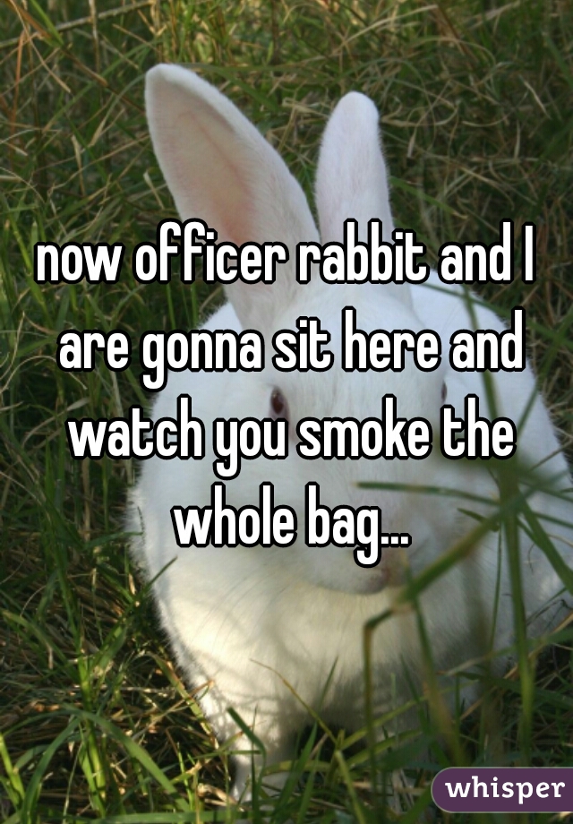 now officer rabbit and I are gonna sit here and watch you smoke the whole bag...