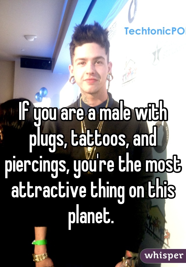 If you are a male with plugs, tattoos, and piercings, you're the most attractive thing on this planet. 