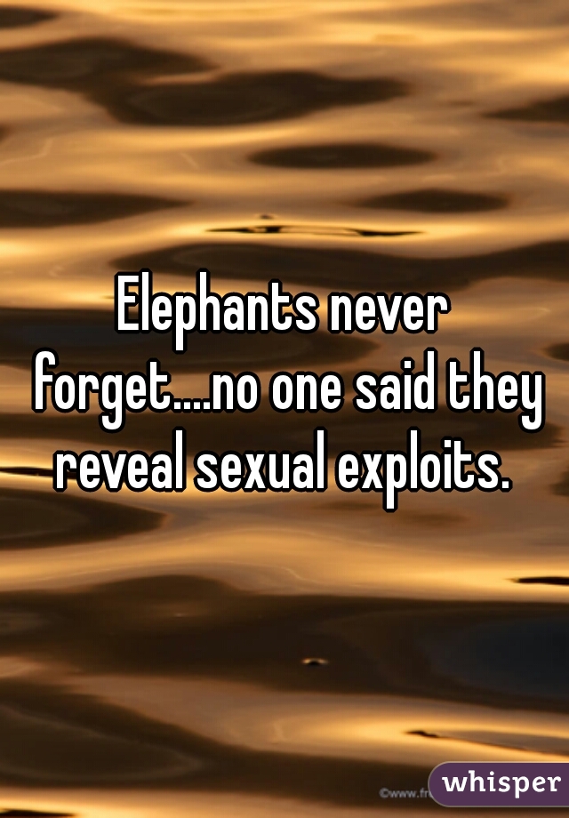 Elephants Never Forgetno One Said They Reveal Sexual Exploits 0009