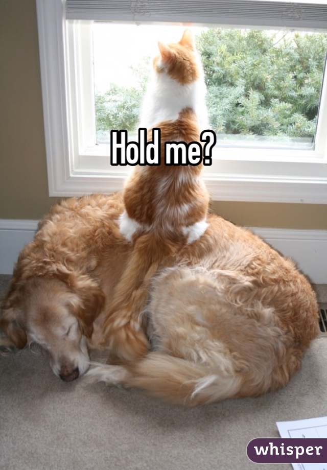Hold me?