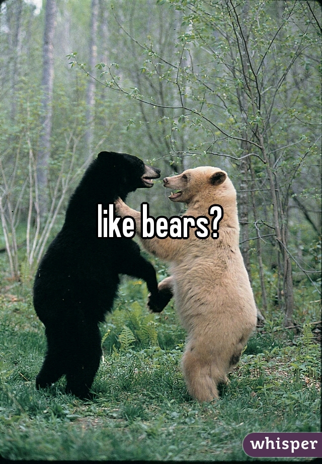 like bears?