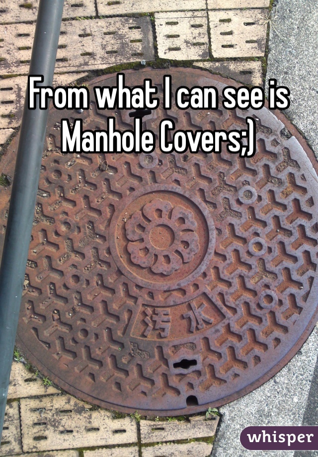 From what I can see is Manhole Covers;) 