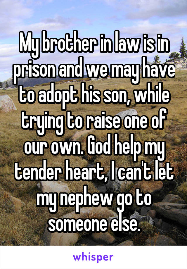 My brother in law is in prison and we may have to adopt his son, while trying to raise one of our own. God help my tender heart, I can't let my nephew go to someone else.