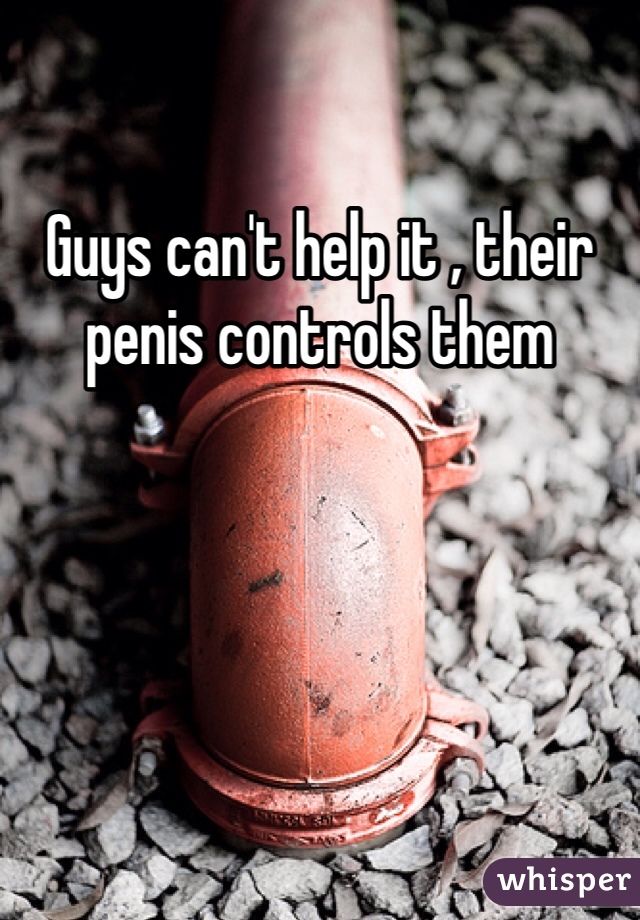 Guys can't help it , their  penis controls them 