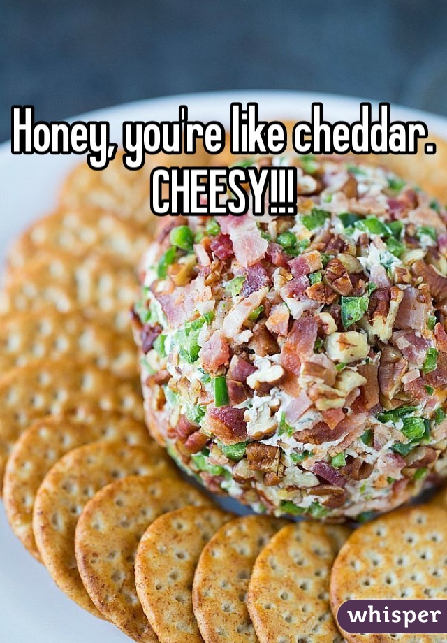 Honey, you're like cheddar. 
CHEESY!!!