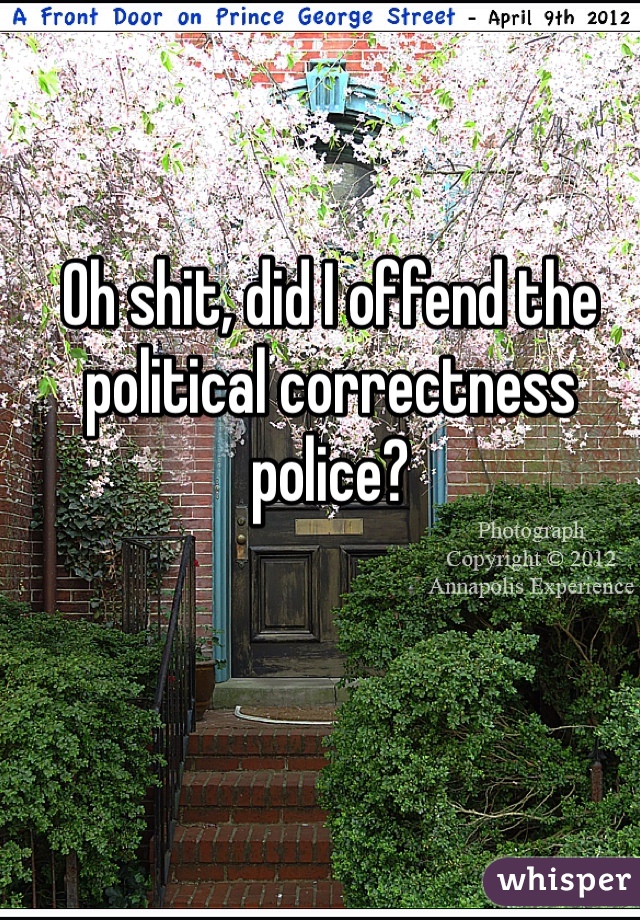 Oh shit, did I offend the political correctness police?